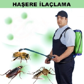 Dörtyol Böcek İlaçlama